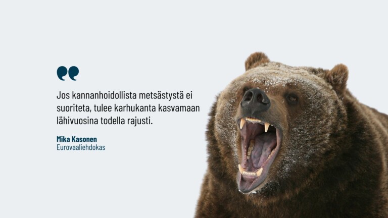 Mika Kasonen: Korkeimman hallinto-oikeuden päätöksessä karhunkaato- luvista on kauaskantoiset ja peruuttamattomat vaikutukset